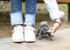 Baby Rocky Gets Super Excited When He To Go On Walks <3 Handsome !!! Luxurious Blue Coat !! ....