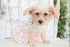 Dog dress with ruffled skirt, dog clothes, dog wedding dress