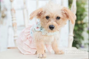 Dog dress with ruffled skirt, dog clothes, dog wedding dress