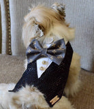 Interchangeable LV inspired style dog harness