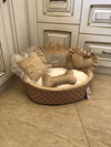 Beige and cream designer dog bed Prince dog bed Princess go bed Personalized dog bed Designer pet bed Cat bed Ivory puppy bed Birthday dog