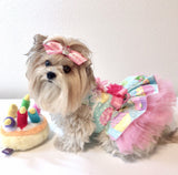 Cup Cake Birthday dog Dress