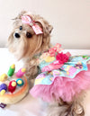 Cup Cake Birthday dog Dress