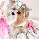 Easter Some Bunny Loves Me dog dress