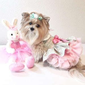 Easter Some Bunny Loves Me dog dress