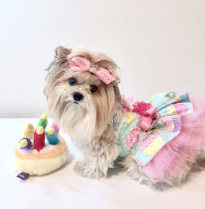 Cup Cake Birthday dog Dress