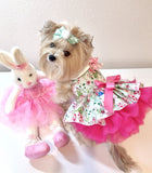 Hello Bunny Easter dress for a dog