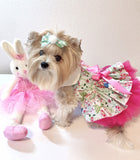 Hello Bunny Easter dress for a dog