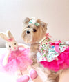 Hello Bunny Easter dress for a dog