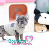 Baby “Vinny” Is Such A Handsome Charming Lil Guy <3 .... VIP Quality !!! Super Tiny For Frenchie !!! Double Blue Eyes !!! ... Mini Blue Merle French Bulldog ....**SOLD**