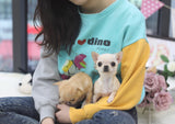 Micro "Miss Honolulu" Is The Tiniest Partner In Crime! Micro Chi Baby SOLD!