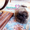 Baby “Prince” Loves To Get His Belly Rubbed & Giggle <3 ... Beautiful Rich Sable !! Perfect Puppy !! So Little !! .... Micro Sable Pekingese ....**Available**