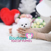 Tiny “Tinkette” Melts Our Hearts With Her Innocent Sweetness <3 ... Luxury VIP Pom !! Extreme Bear Face !!  Super Tiny Sizing !! .... Micro Ice White Pomeranian ....**Available**