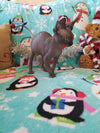 Baby Grinch - Darling Gorgeous Sphynx Kitten Available!